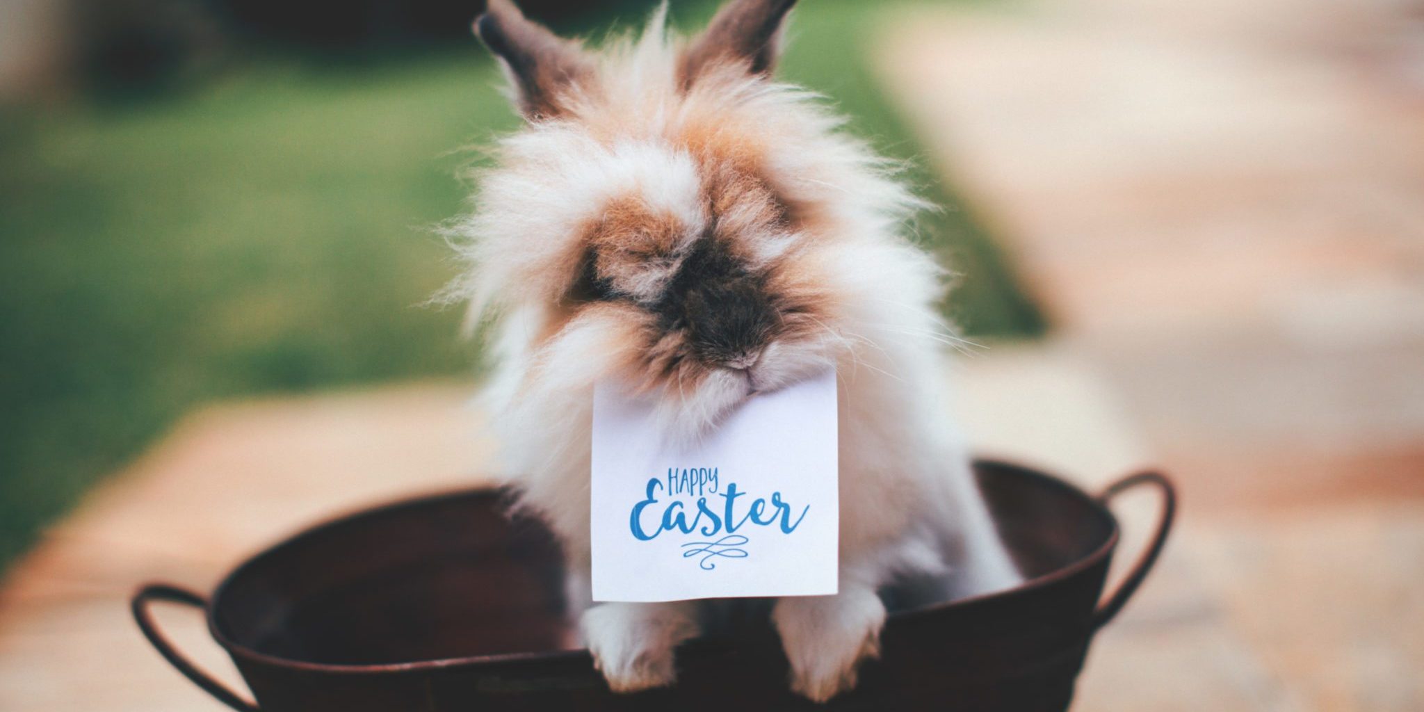 Happy Easter Happy Easter