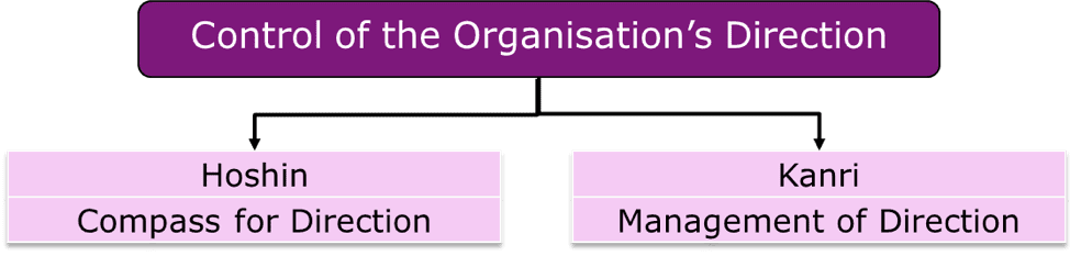 Transformation with Agile, Organisation Direction